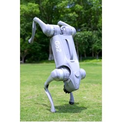 Unitree go2 köpek robot